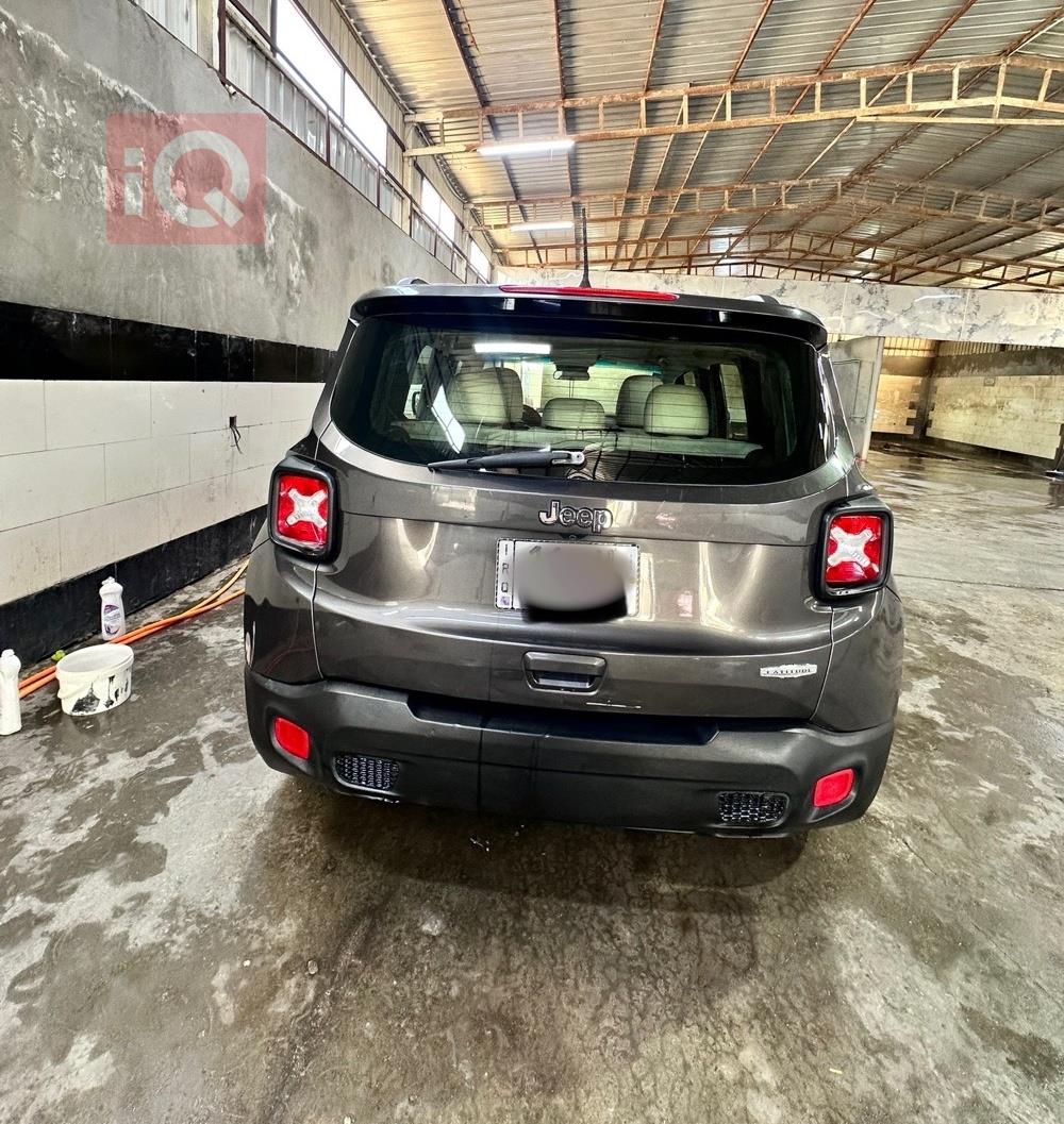 جيب رينيجيد